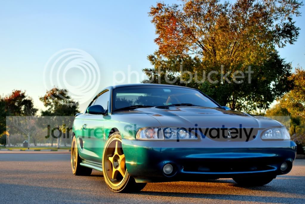 DSC_0082.jpg