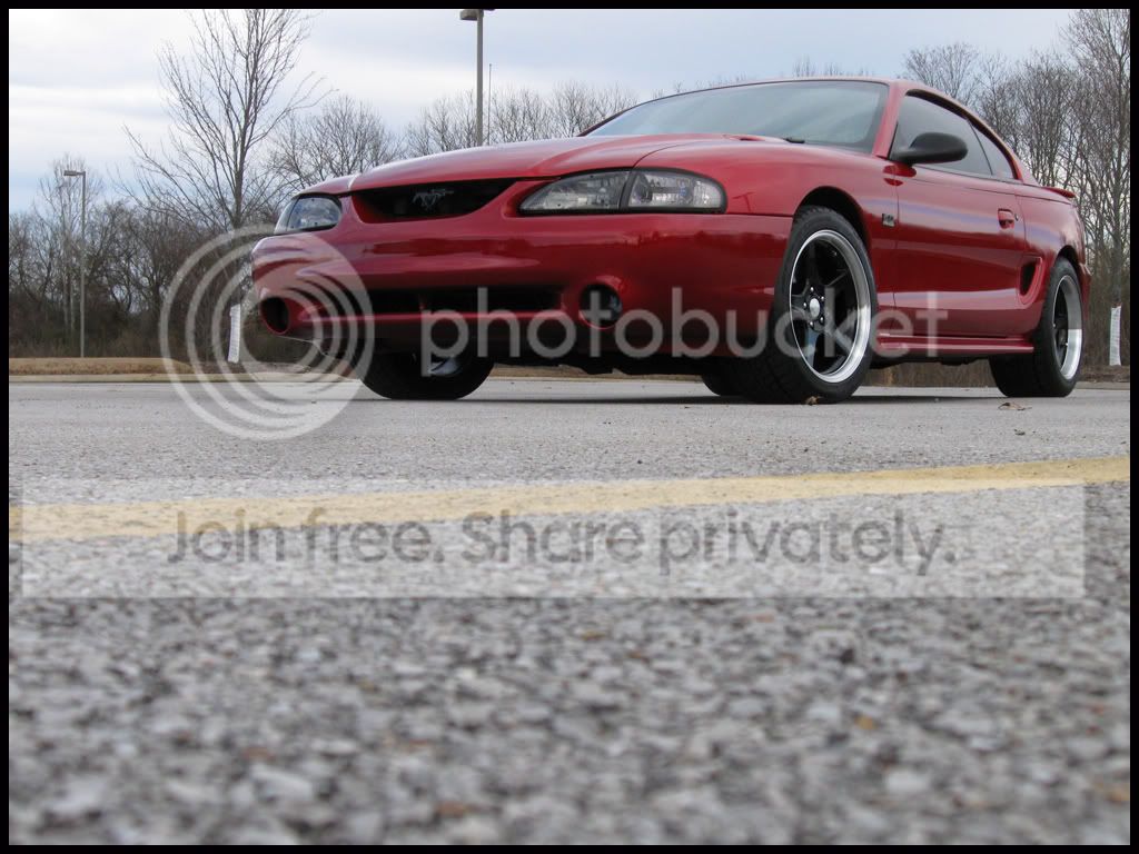 stang022.jpg