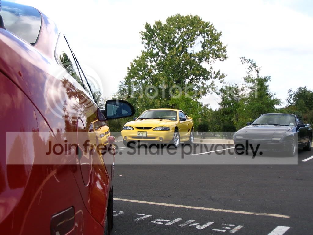 cobra080.jpg