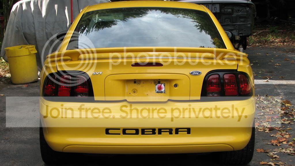 cobra230.jpg