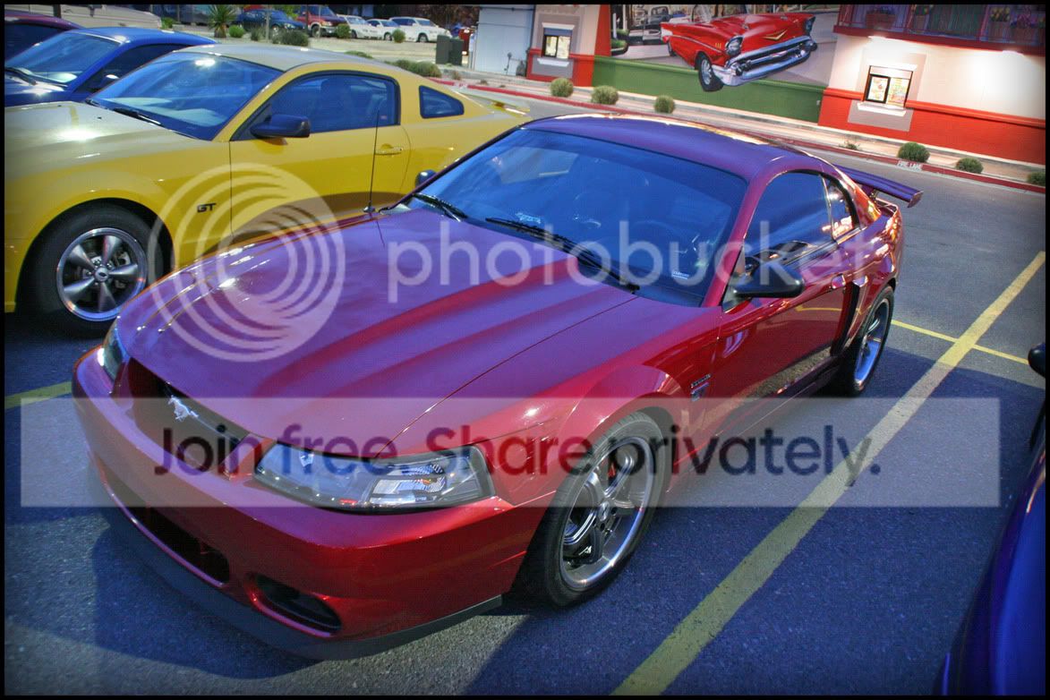 MeetPic12.jpg
