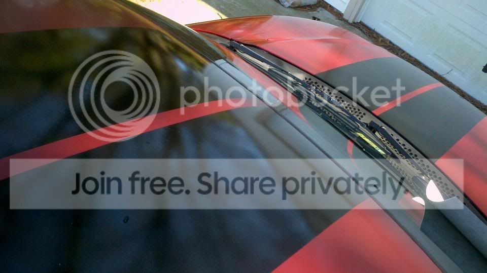 MYMUSTANGSTRIPES.jpg