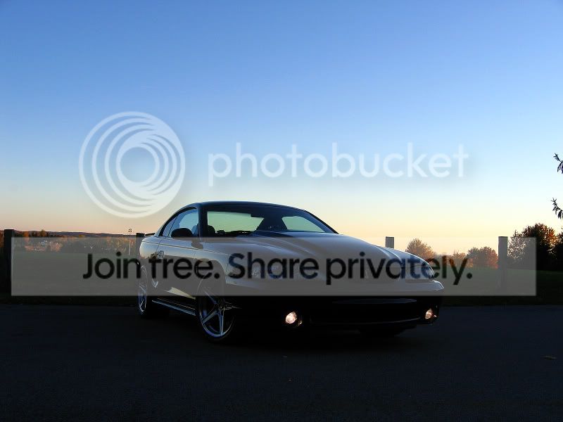 1995_Cobra_116_2.jpg