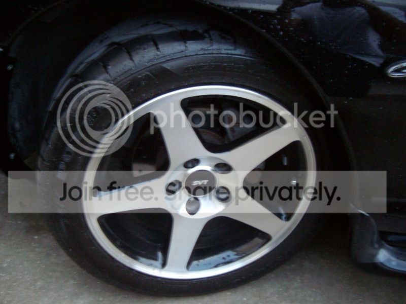 SANY1420.jpg