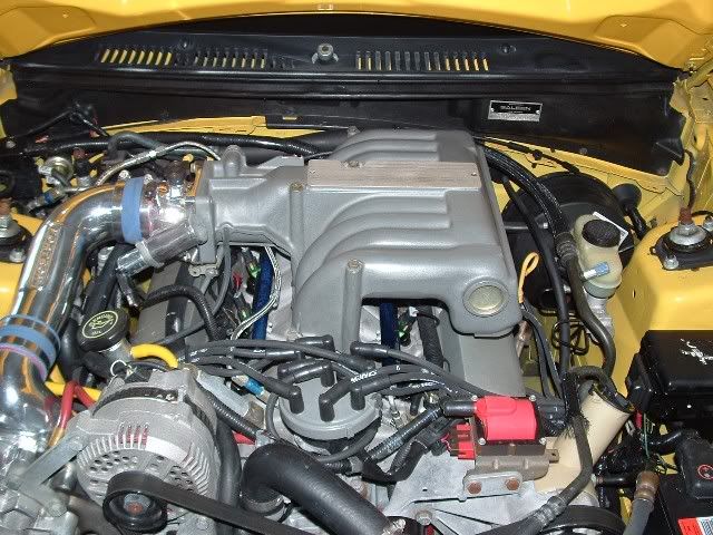 993514.jpg