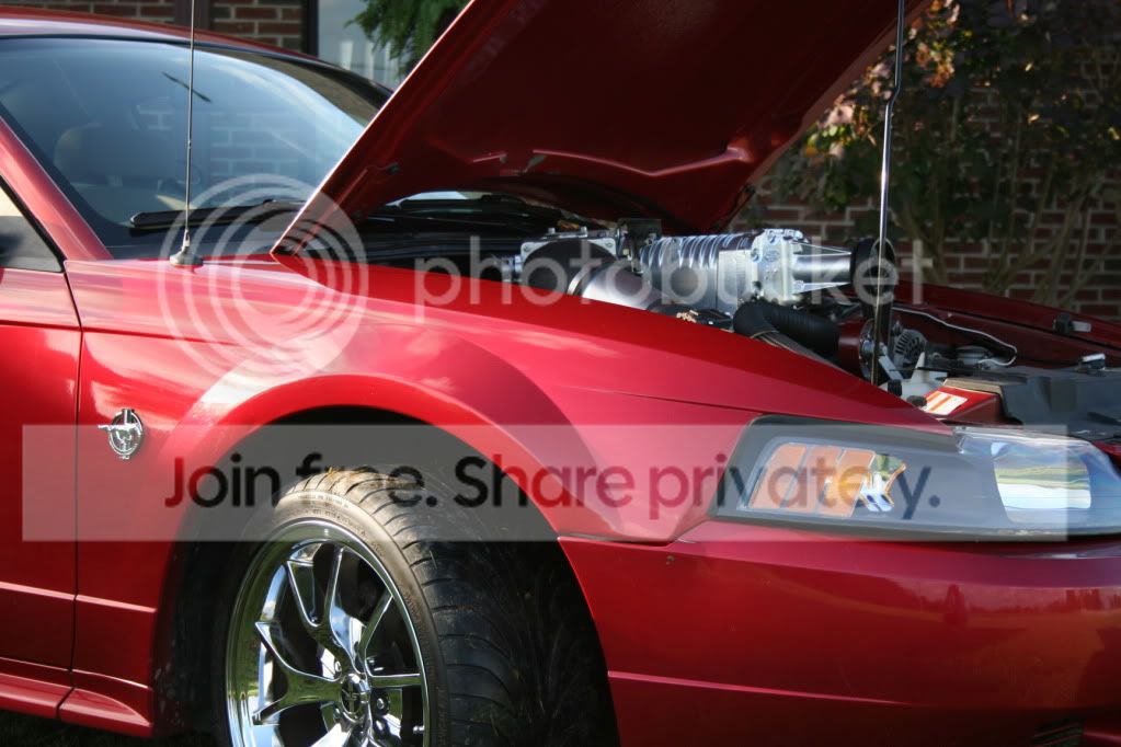 car4.jpg