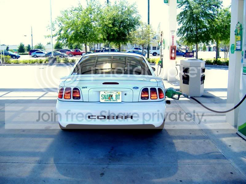 Cobra_Shoot4-6-11015.jpg