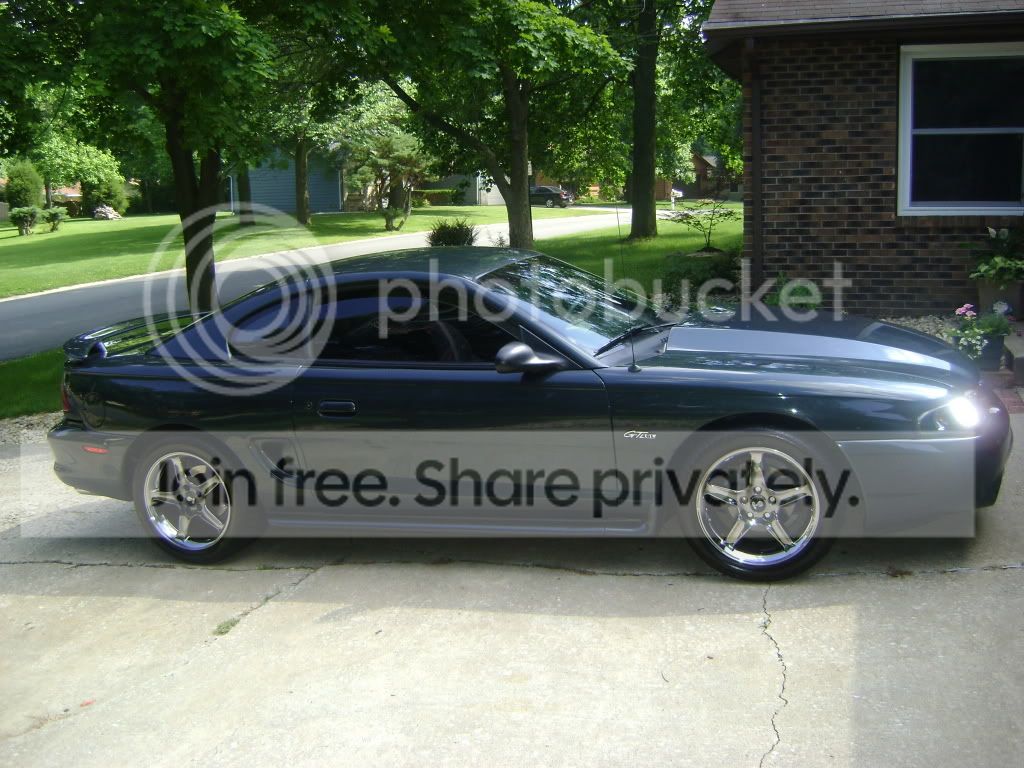 3stang.jpg