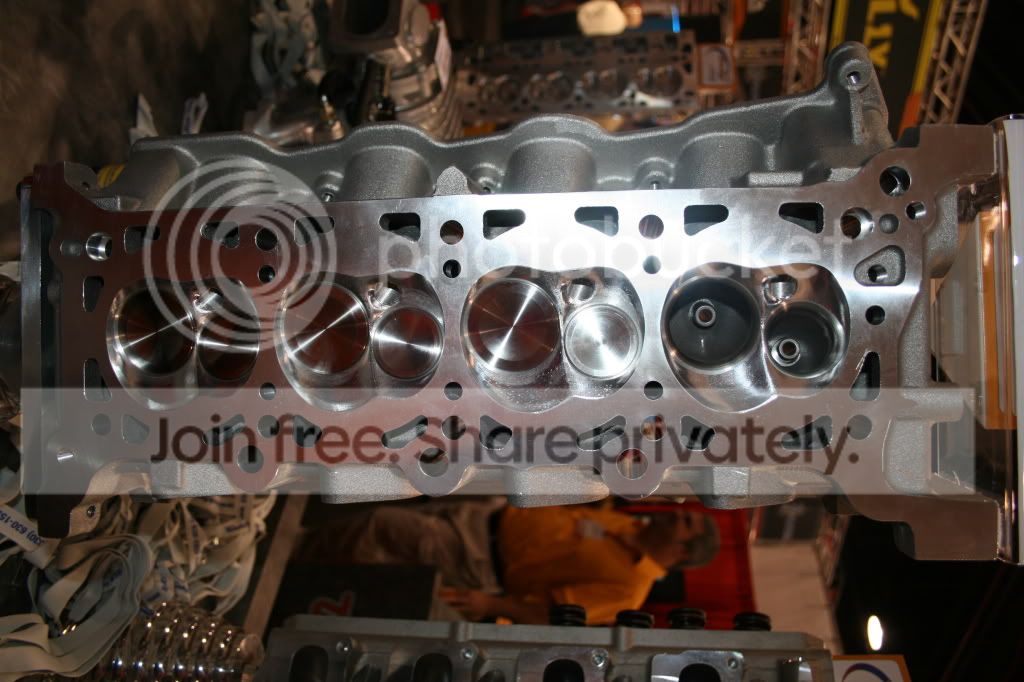 SEMA08009.jpg