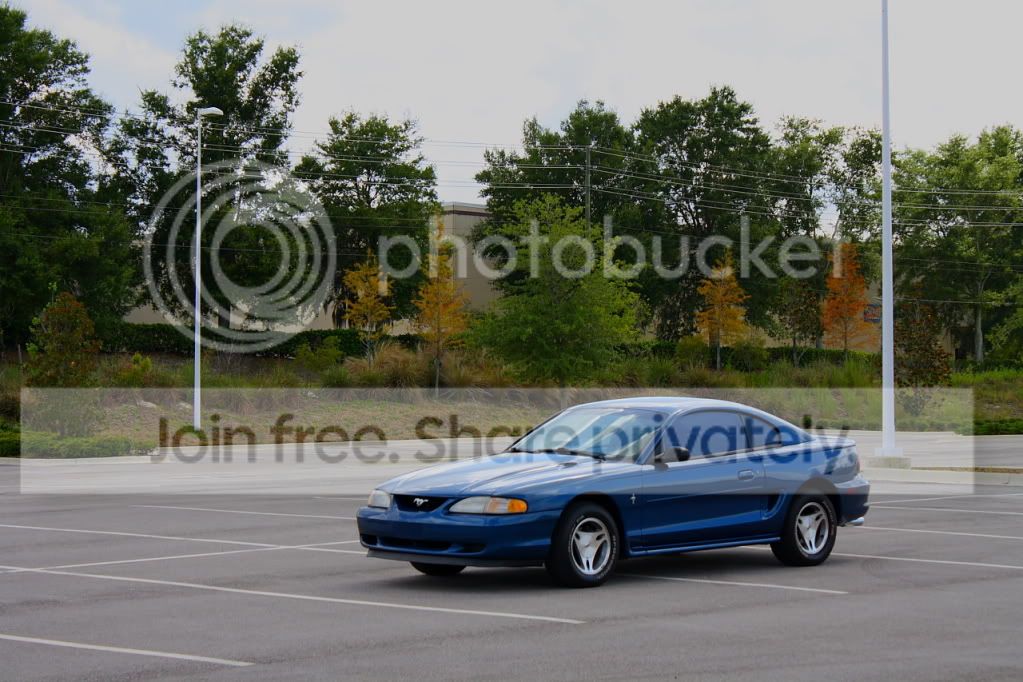 IMG_0908smaller.jpg