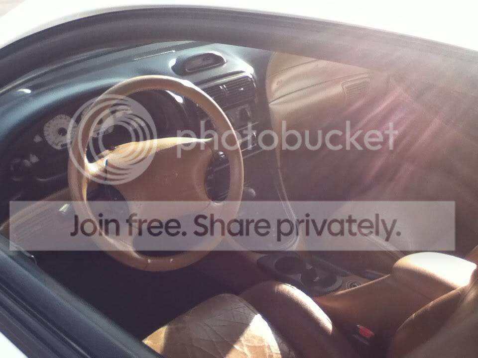 00d07712.jpg