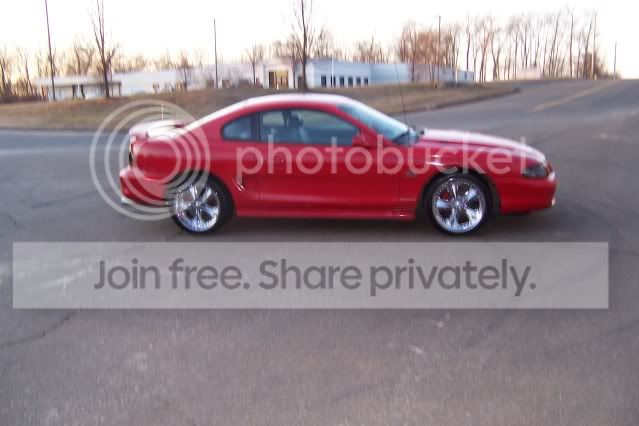 Mustang002.jpg