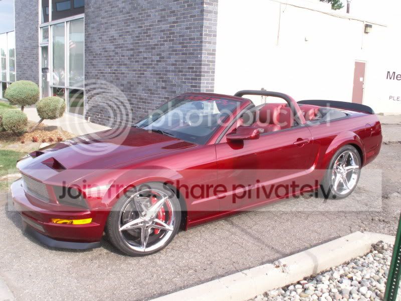 Mustangs003.jpg