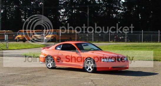 orangestang2.jpg