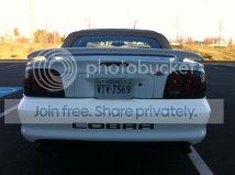 BuMper_zps570ce0f5.jpg