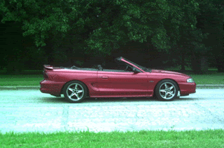 ff.gif