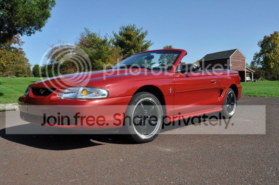 blackbullittts_zps03ec1a7b.jpg