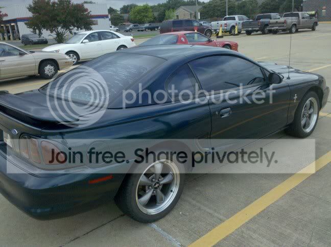 stang3.jpg