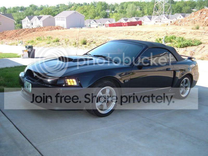 DSCF2387.jpg