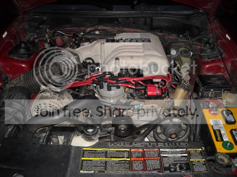 carpics009.jpg