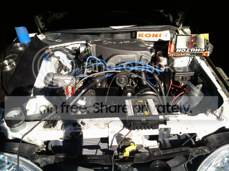 2011-07-19082859.jpg