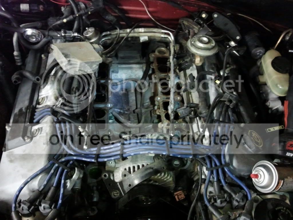 2011-03-08192247.jpg