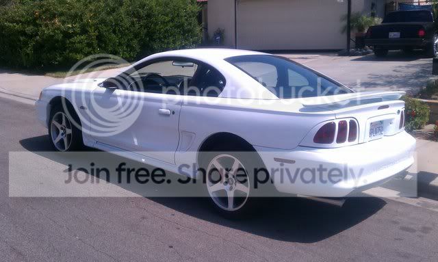 mystang.jpg