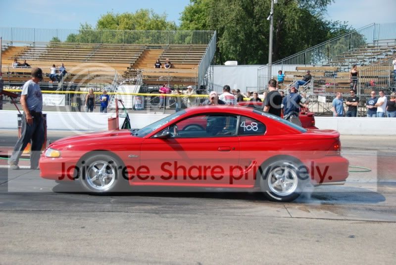stang-1.jpg