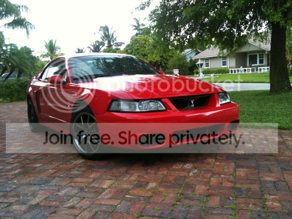 COBRA6.jpg