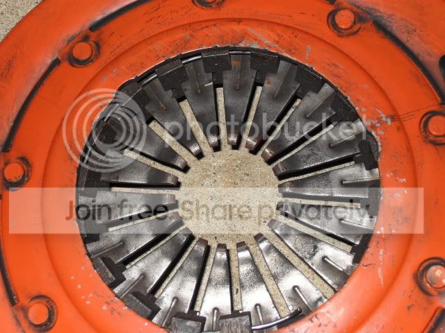SDC19481.jpg