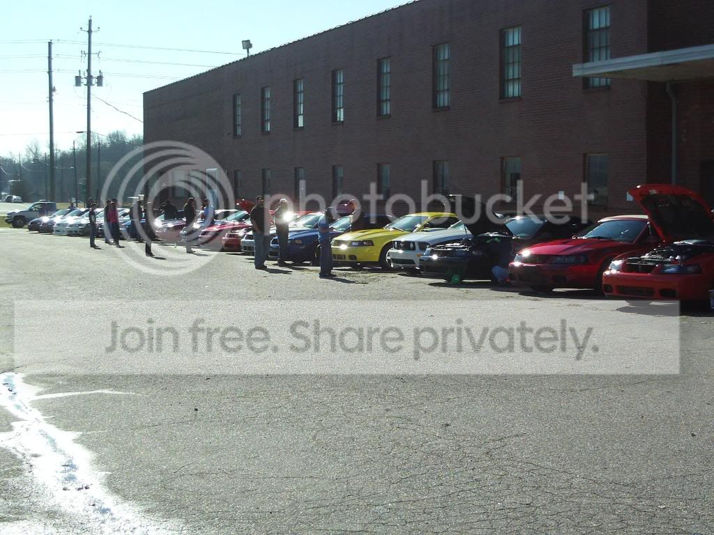 FILE0050-Copy.jpg