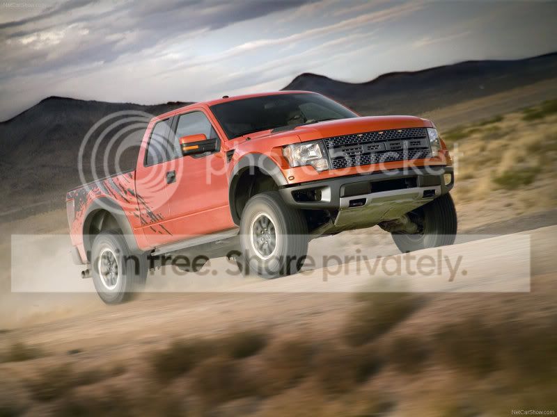 raptor4.jpg
