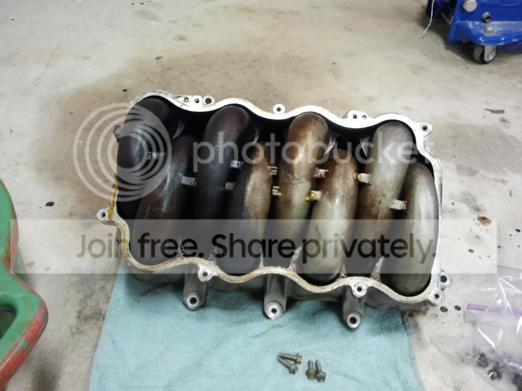 2011-03-08192417.jpg