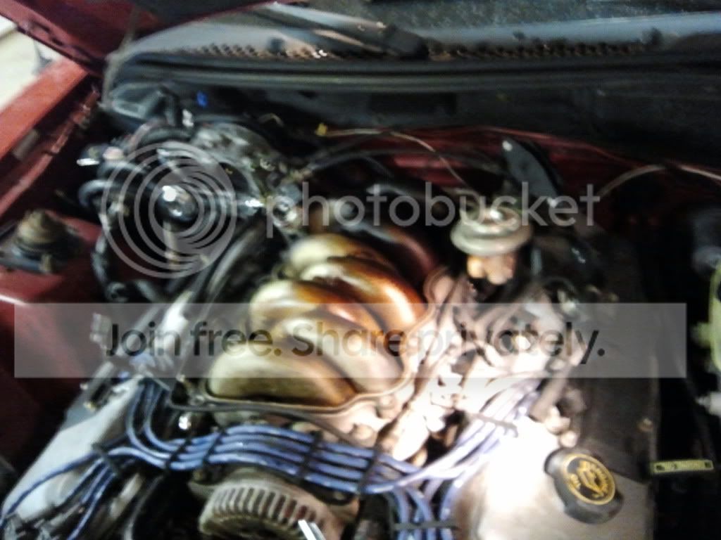 2011-03-08181158.jpg