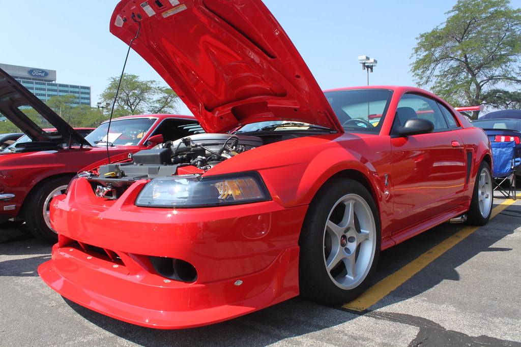 6019199054_5524f6105b_b.jpg