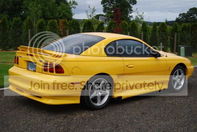 98Roush-6.jpg