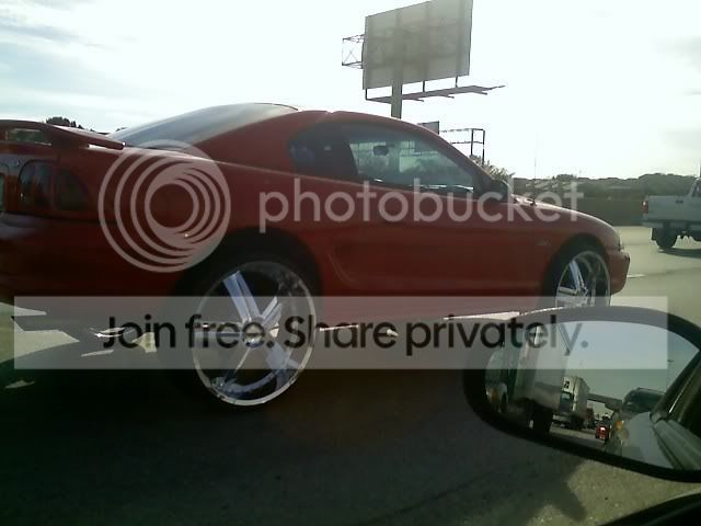 Pimpedoutstang.jpg