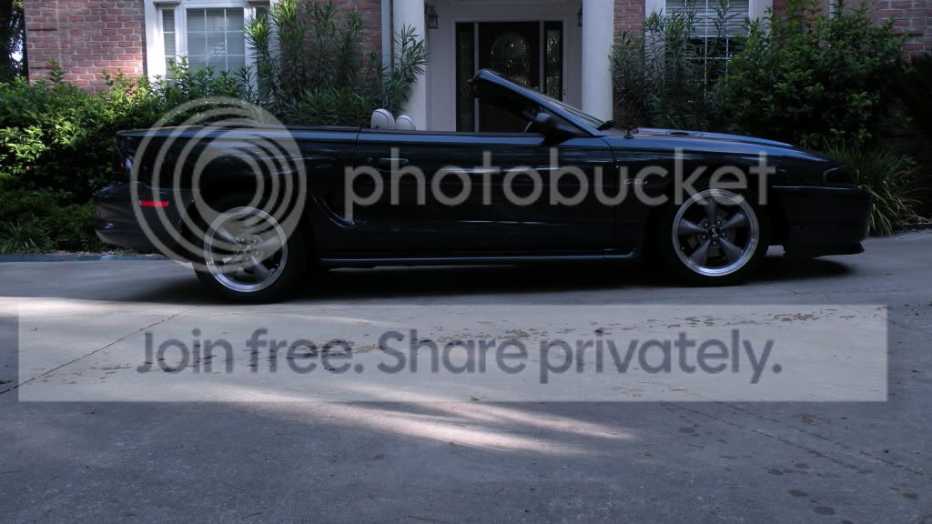 newlow017.jpg