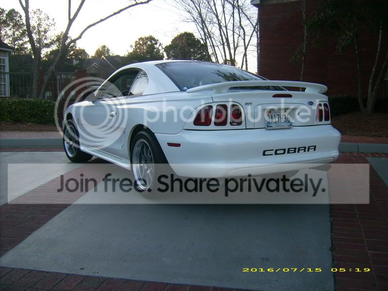 cobra007.jpg