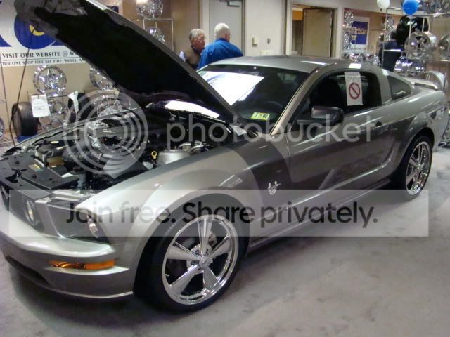 DSC01371.jpg