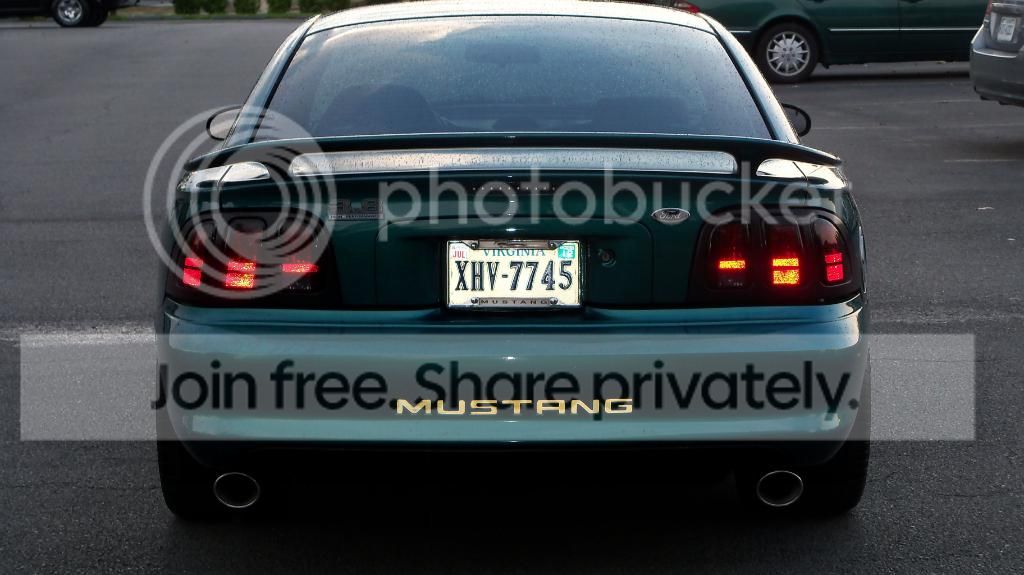 Stang057.jpg