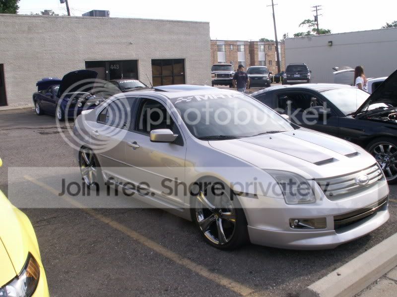 Mustangs002.jpg