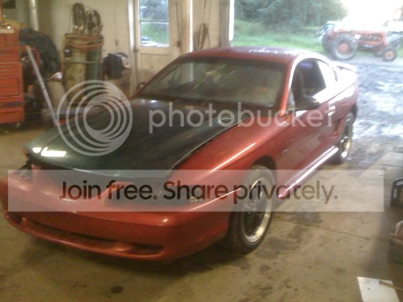 95stang3.jpg