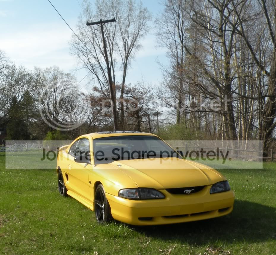 MustangAlbum4.jpg