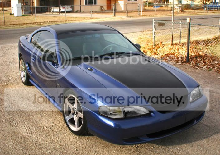 BlueChop-1.jpg