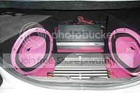 trunk2.jpg