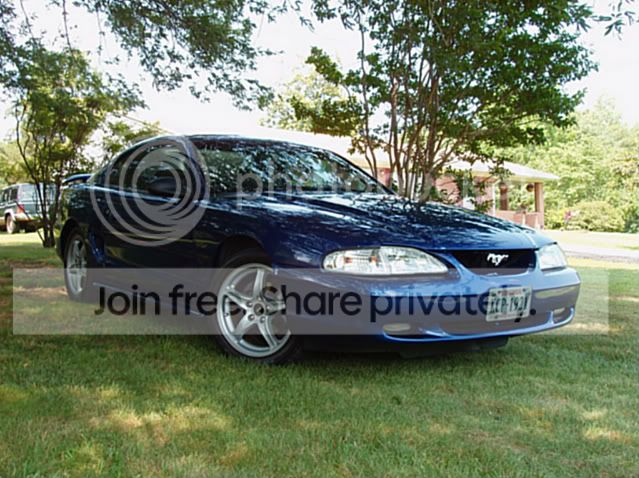 Mustang012.jpg