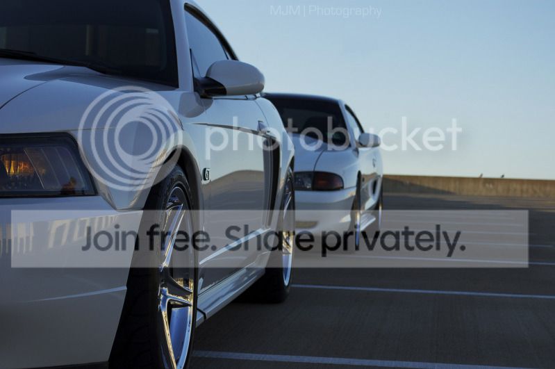DSC_3288edit.jpg