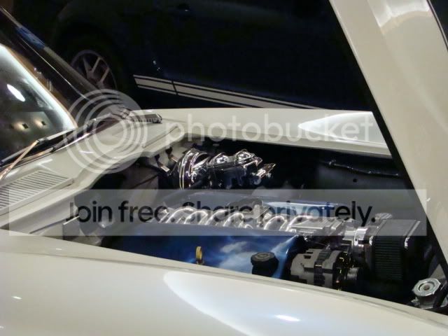 DSC01407.jpg