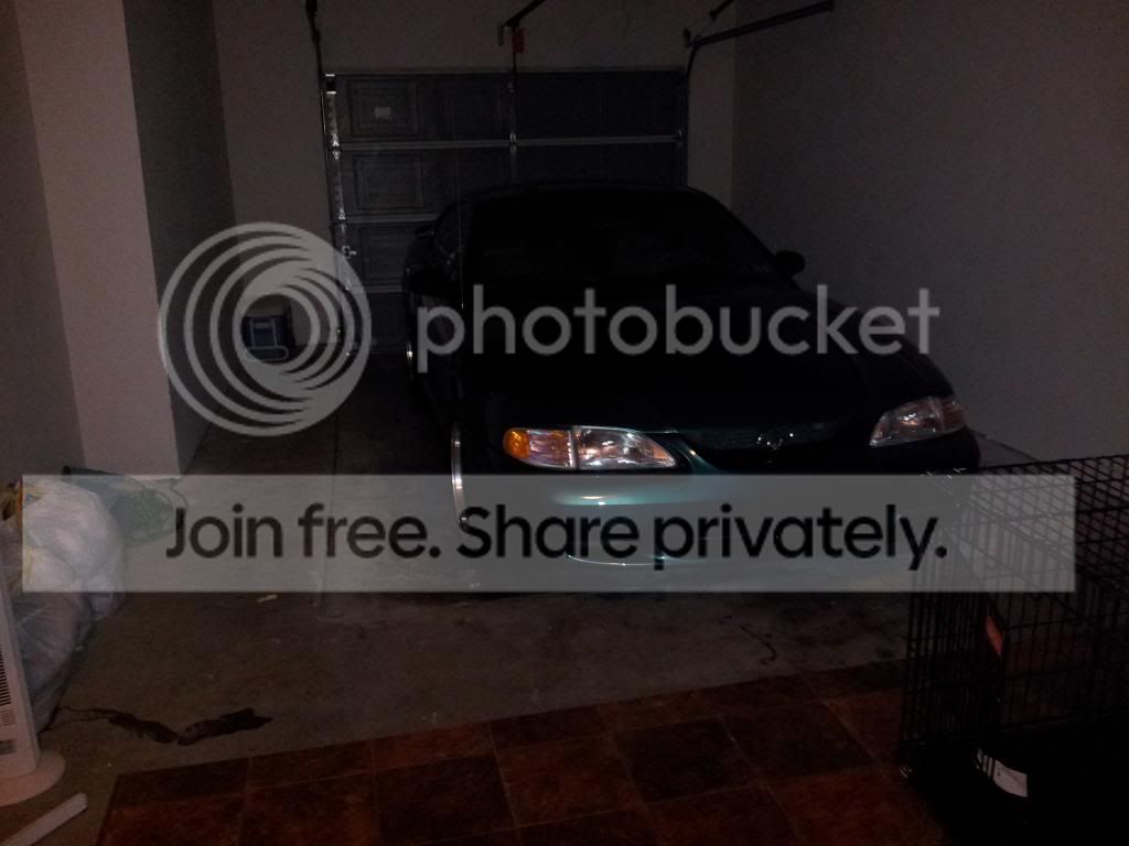 20121116_172537.jpg